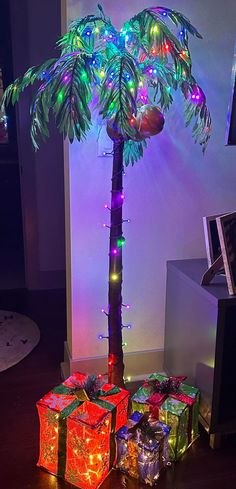 a palm tree decorated with christmas lights and wrapped presents under a lite - up lamp