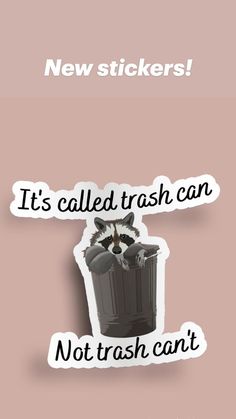 a raccoon in a trash can with the words it's called trash can not trash can