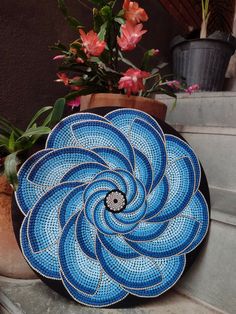 a blue flower sitting on top of a stone step