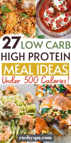 low carb high protein meal ideas that are under 500 calories and ready to eat