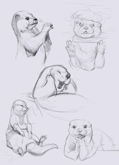 some drawings of otters sitting on the ground