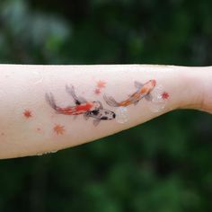 a person's arm with two koi fish on it and stars in the background