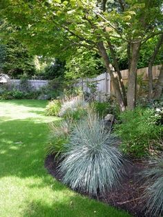 a garden with lots of green grass and trees