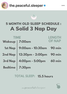 a poster with the words 5 month old sleep schedule