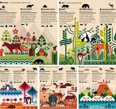 an illustrated info sheet with animals and plants