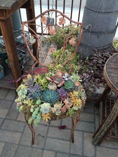 an old chair is filled with succulents and other plants on the patio