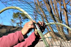 a person is working on some kind of wire thing in front of a tree with no leaves