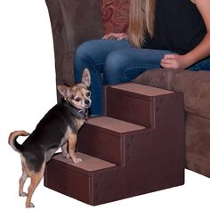 a small dog sitting on top of some steps next to a woman in black shirt