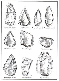 an image of different types of rocks and their names in black ink on white paper