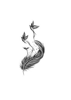 two birds flying next to each other on a white background