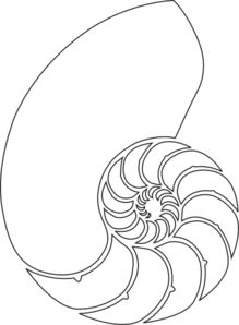 an abstract black and white image of a spiral design on a white background, with the center section outlined in thin lines