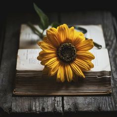 a sunflower sitting on top of an open book