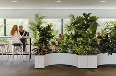 two women sitting at a table in an office with plants