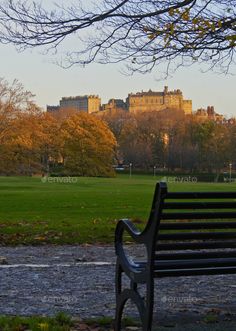 a park bench in front of a grassy field with trees and buildings in the background