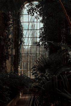 the inside of a building with lots of plants