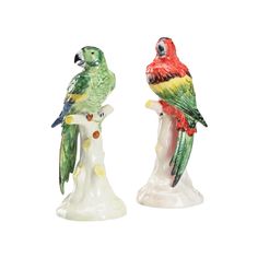 two colorful parrots sitting on top of each other's legs in front of a white background