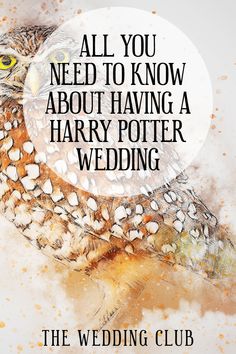 an owl with the words all you need to know about having a harry potter wedding