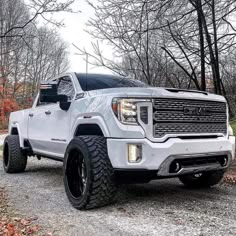 the white truck is parked in front of some trees