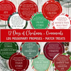 twelve days of christmas ornaments with the words 12 days of christmas ornaments,