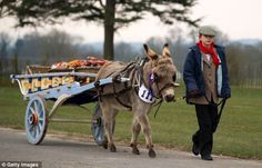 a person walking with a donkey pulling a cart