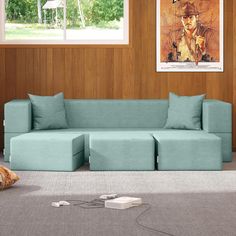 a living room scene with focus on the couch and an animal laying on the floor