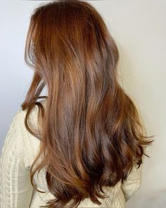 Golden Brown Hair With Red Highlights, Faded Auburn Hair, Auburn Undertone Hair, Subtle Copper Brown Hair, Brown Hair Copper Undertone, Barely Red Hair, Auburn Hair Red Highlights, Brown Cinammon Hair Colour, Honey Blonde Auburn Hair