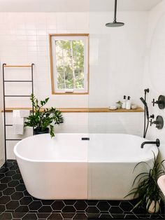 a white bath tub sitting under a window next to a plant in a bathroom sink