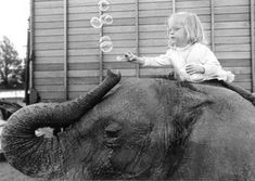 Circus Elephant, Animal Fun, People And Animals, Black White Photos, White Photos