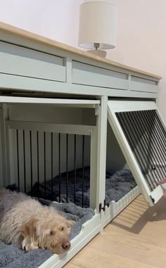 a dog laying in its kennel with the door open to allow it to sleep