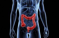 Inflammatory bowel syndrome (IBS) is the name of a group of disorders in which the large intestine (colon) becomes inflamed. Digestive Enzymes Benefits, Inflammatory Bowel Syndrome, Digestive Enzymes Supplements, Gastrointestinal Disease, Small Intestine, Gastrointestinal System, Best Probiotic, Large Intestine, Surprising Facts