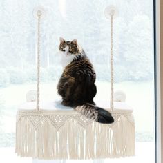 a cat sitting on top of a window sill