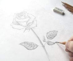 someone is drawing a rose with pencils