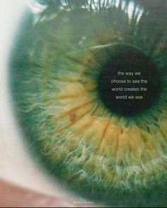 an eye with the words, the way we choose to see the world creates the world as see