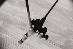 an umbrella casting a shadow on a wooden floor in black and white photo with the sun shining through it