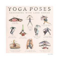 an illustration of yoga poses with land bodies