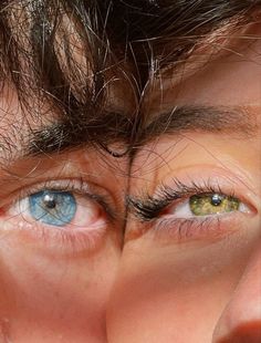 a close up of a person's eyes with hair on top of their head