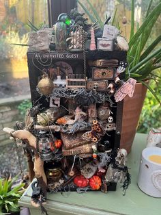 an assortment of items is displayed on a table in front of a potted plant