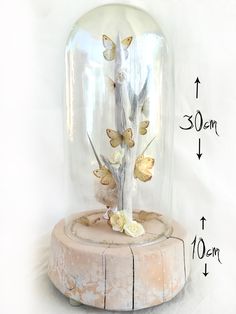 a snow globe with flowers inside and measurements for the base on which it is placed