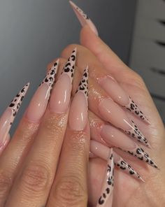 Brown Stiletto Nails Design, Stiletto Cheetah Nails