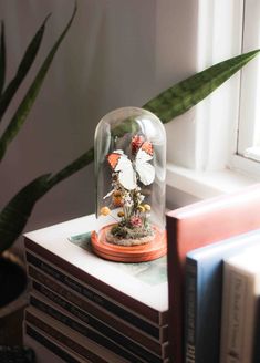 there is a glass dome with flowers under it on top of some books next to a plant