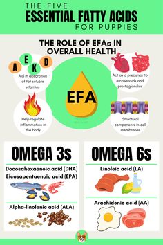 the five essential fattys for healthy health info poster with information on how to use them