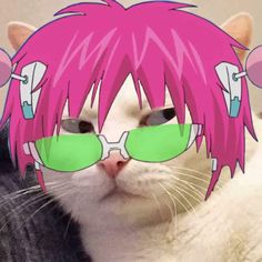 a white cat with pink hair and green glasses