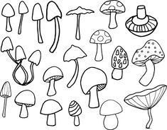 the different types of mushrooms are outlined in black and white, with one mushroom on each side