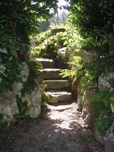 stone steps leading up to the top of a hill