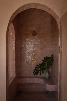 a potted plant sits in the corner of a tiled room with arched doorways