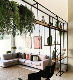 a living room filled with furniture and plants