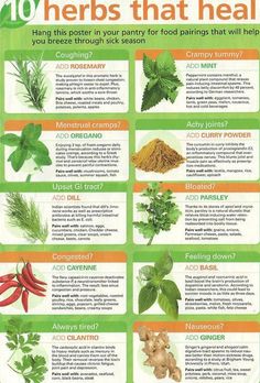 Herb Gardening, Healing Plants, Makanan Diet, Herbs For Health, Healing Food, Healing Herbs, Natural Health Remedies, Medicinal Herbs, Detox Smoothie