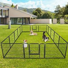 three dogs are sitting in their kennels on the grass outside an open house