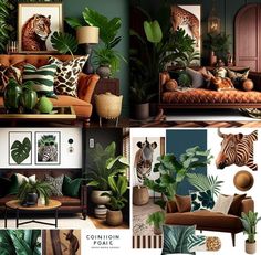 a collage of photos showing different types of living room furniture and plants in various rooms