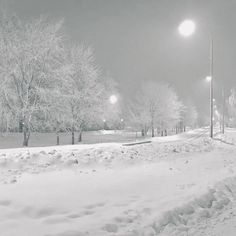 a snow covered park with street lights and trees